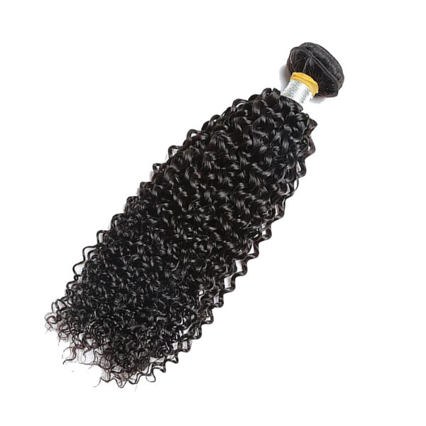 RAW BURMESE CURLY BUNDLE